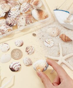 PH PandaHall 40-50Pcs 24-29mm Tiny Scallop Sea Shells Ocean Beach Clam Seashells Craft Charms for Necklace Jewelry Candle DIY Craft Making, Home Decoration, Party Wedding Decor, Fish Tank Vase Filler 30~35mm, 1.5mm Hole Mixed Colors 13 81pS15JPvTL