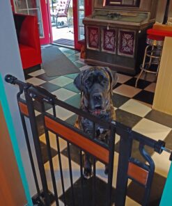 Regalo Home Accents Extra Tall & Wide Baby Gate, Bonus Kit, Includes Décor Steel With Hardwood, 4" Extension Kit, 4 Pack Pressure Mount Kit & Wall Cups 37 Inch Tall 31 81pSizncdL