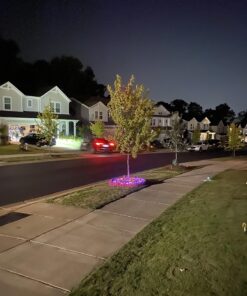 Scotts Turf Builder Lawn Food - Fertilizer for All Grass Types, 5,000 sq. ft., 12.5 lbs. 5,000 sq. ft. 45 81pX5LuxDUL