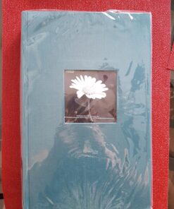 Fabric Frame Cover Photo Album 300 Pockets Hold 4x6 Photos, Majestic Teal 26 81pi14zjykL