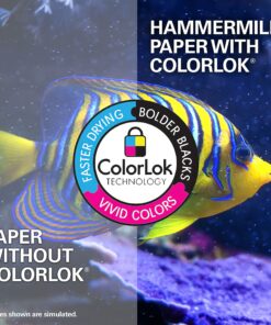 Hammermill Printer Paper, 20 lb Copy Plus, 8.5 x 11 - 10 Ream (5,000 Sheets) - 92 Bright, Made in the USA 8.5x11 10 Ream | 5000 Sheets 15 81piLaDbYaS