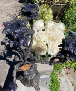 5 Live Caterpillars Shipped Now- Butterfly Kit Refill 65 81poTtnHnDL