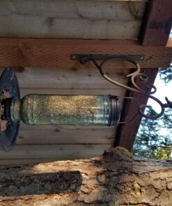 More Birds Songbird Vintage Bird Feeder, Sunflower and Thistle Feeder, 4 Feeding Ports, 1.5 lb Seed Capacity Vintage Glass 28 81pom7efDxL
