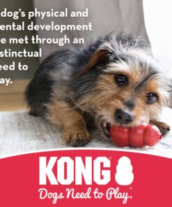 KONG Stuff-A-Ball Treats Dispense Dog Toy - Stuffable Dog Toy - Stuff Treats for Mental Enrichment - Dental Dog Toy for Healthy Teeth & Gums - Large Dogs Standard Packaging 21 81puB7 XDPL 2