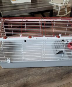 Living World - Deluxe Hybrid Habitat, X-Large - Rabbit, Guinea Pig, Chinchillas, and Small Animal Cage 46.9"L x 22.8"W x 24.0"H Standard Packaging 25 81pvPJxC7RL