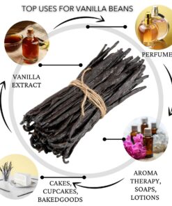 Slofoodgroup Gourmet Vanilla Beans -10 Count Grade A Vanilla from Uganda - Bourbon Vanilla for Cooking, Baking and Homemade Vanilla Extract 10 Count (Pack of 1) 15 81pwox YH7L