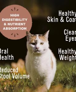 Alternative view of Primal Freeze Dried Cat Food Nuggets Pork, Complete & Balanced Scoop & Serve Healthy Grain Free Raw Cat Food, Crafted in The USA (14 oz) 14 Ounce (Pack of 1)