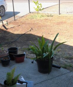 Rain Bird 32ETI Easy to Install In-Ground Automatic Sprinkler System Kit Automatic Sprinkler System Kit w/ Timer 39 81pz0w01X5L