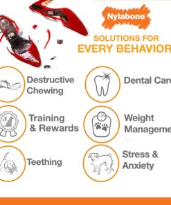 Nylabone Power Chew Knuckle Bone Big Dog Chew Toy Knuckle Chicken XX-Large/Monster (1 Count) XX-Large/Monster (1 Count) Natural 26 81pzQUXKeL