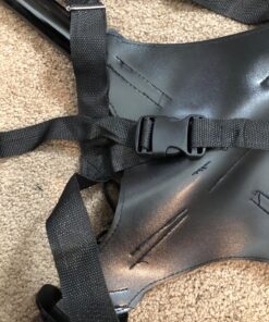 Ace Martial Arts Supply Leonardo Dual Ninja Swords with Back Carrying Scabbard 43 81q2paWMO3L