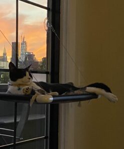 Kitty Cot Original World's Best Cat Perch (Large) Black Color Kitty Cot Large 34 81q58pyzAZL