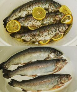 Pro-Cure Wizard Kokanee Killer Korn Dye, 4 Ounce, Pink 31 81q6rx6 6nL