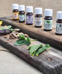 Healing Solutions 10ml Oils - Tea Tree Essential Oil - 0.33 Fluid Ounces 0.33 Fl Oz (Pack of 1) 29 81qCSf85oL 1