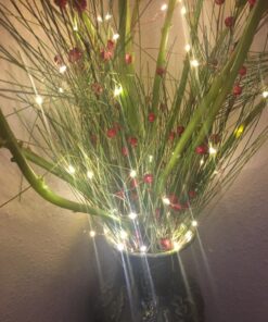 Sanniu Led String Lights, Mini Battery Powered Copper Wire Starry Fairy Lights, Battery Operated Lights for Bedroom, Christmas, Parties, Wedding, Centerpiece, Decoration (5m/16ft Warm White),1 Pack 1 Pack 35 81qDV26MDL