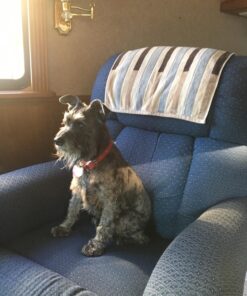 Alternative view of PetSafe Citronella Spray Can Refill