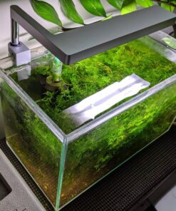 ONF Flat Nano Full Spectrum LED Aquarium Light, Dimmable 7000K / 1300lm, for <10 Gallons Rimless Fish Tanks, Freshwater Aquatic Plant Growth, Terrarium Spotlight, Potted Plant IP54 Waterproof (Silver) Silver 32 81qFksyACML