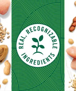 NUTRO Crunchy Dog Treats with Real Peanut Butter, 10 oz. Bag 10 Ounce (Pack of 1) 20 81qMhRYN17L