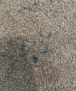 Miss Mouth's Messy Eater Stain Treater Spray - 4oz Stain Remover - Newborn & Baby Essentials - No Dry Cleaning Food, Grease, Coffee Off Laundry, Underwear, Fabric 1 pack 37 81qNFxUBJ4L