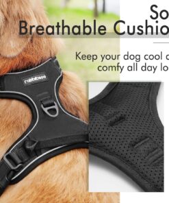 rabbitgoo Dog Harness, No-Pull Pet Harness with 2 Leash Clips, Adjustable Soft Padded Dog Vest, Reflective No-Choke Pet Oxford Vest with Easy Control Handle for Large Dogs, Black, XL X-Large 31 81qNT4lSZjL