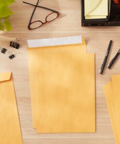 Amazon Basics Catalog Mailing Envelopes, Peel & Seal, 9x12 Inch, Brown Kraft, 100-Pack 9 x 12 20 81qNcQLZ5hL