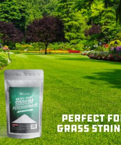 Premium Sodium Percarbonate - 99.9% Pure - Oxygen Bleach Powder - 2 lbs - Multi-Use - Safe in Home - Ecoxall Chemicals 2.00 Pound (Pack of 1) 16 81qQEyBVL