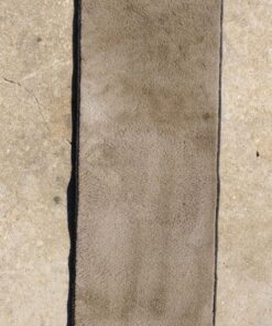 Folex Instant Carpet Spot Remover, 128oz Odor Free 128 Fl Oz (Pack of 1) 32 81qSEsl2J3L