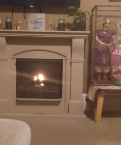 Real Flame Gel Fuel Cans - 24-Pack - Gelled Isopropyl Alcohol for Indoor or Outdoor Fireplaces 20 81qSj0P5yRL