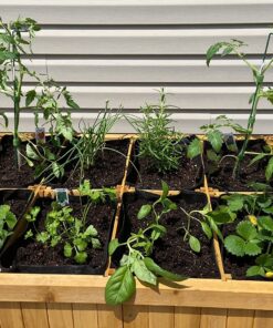 VegTrug 8 Pocket Herb Garden Brown 53 81qTKkaVANL