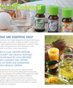 Calm Body, Calm Mind Blend Essential Oil - 100% Pure Therapeutic Grade Calm Body, Calm Mind Blend Oil - 10ml 11 81qVmd4LlL