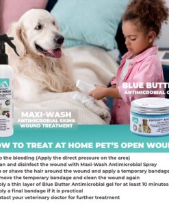 Forticept Maxi-Wash Hot Spot Treatment, Wound Care & Itch Relief Spray for Dogs and Cats. Relives Scratching, Rashes, Sores, Itchy Skin and Paw Licking 8 oz 8 Fl Oz (Pack of 1) 15 81qVtVeZOPL 1