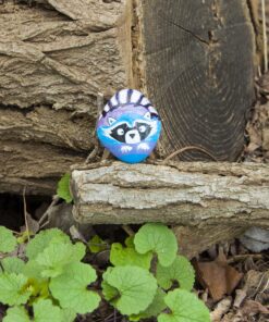 Creativity For Kids Hide and Seek Rock Painting Kit - Arts and Crafts for Kids Ages 6-8+, Gifts for Kids, Craft Kit with 10 Rocks and Waterproof Paint, Small Original 40 81qZCJnddAL