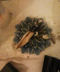 JL Local Smudge Kit Refill - White Sage & Palo Santo for Smudging, Healing, Smoke Cleansing, Meditating & Incense (Sage & Palo Refill) Sage & Palo Refill 19 81qZUA9PVL