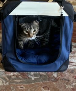 PetLuv-Happy Cat Premium Cat Carrier Soft Sided Foldable Top & Side Loading Pet Crate & Carrier Locking Zippers Shoulder Straps Seat Belt Lock Plush Pillow 24.0"L x 16.0"W x 16.0"H Navy Blue 39 81qcqdiEuqL