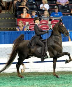 Nikon AF-S FX TC-14E III (1.4x) Teleconverter Lens with Auto Focus for Nikon DSLR Cameras 31 81qgtdxC4aL