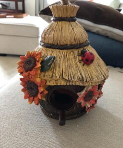 Dawhud Direct Hanging Bird Houses for Outside, Hand-Painted Bird Houses for Outdoors Decorative Birdhouses (Ladybug and Flowers) Ladybug and Flowers 16 81qhs3yQDUL