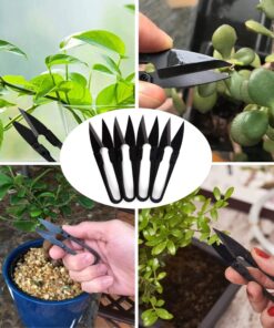 Bonsai Pruning Scissors 5 PCS, Small Pruner Shears, Bud Leaves Trimmer, Garden Shears for Plants, Gardening Clippers for Flower, Stainless Steel Bud and Bonsai Trimming Pruners Trimmers 20 81qjUg319uL