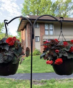 Ashman Shepherds Hook 65 Inch Two Sided Shepherd Hook, 1/2 Inch Thick, Super Strong, Rust Resistant Steel Hook Ideal for Use for Hanging Plant Baskets, Bird Feeders, and Weddings Pack of 1 17 81qkXlVFl6L