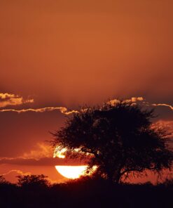 TAMRON Super Zoom Lens SP 150-600mm F5-6.3 Di VC USD G2 for Nikon Full Size A022N Single 16 81qlqDOqjL