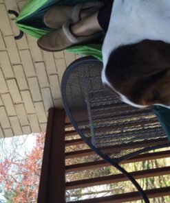 Best Choice Products Portable Heavy-Duty 9ft Steel Hammock Stand w/Built-in Wheel, Carrying Case, Weather-Resistant Finish, 450lb Capacity 39 81qnbX OJTL