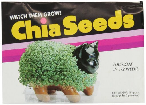 Chia Seed Pack, 3 Count(Chia pet not Included) Green