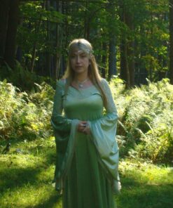 Rubie's Deluxe Queen Arwen Costume Standard 36 81qrz66q2AL