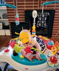 Fisher-Price Baby Bouncer Animal Wonders Jumperoo Activity Center With Music Lights Sounds And Developmental Toys 43 81qsPJn020L