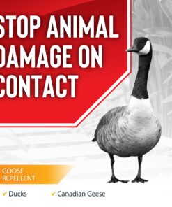 Messina Wildlife GS-C-032 Goose Stopper Quart Concentrate, 1 quart 9 81r1QfdlTrL