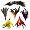 Pet Fit For Life Multi Piece Replacement Feathers Pack Plus Bonus Soft Furry Tail for Interactive Cat and Kitten Toy Wands… 5 Feathers, 1 Tail 33 81r6fXJeq6L