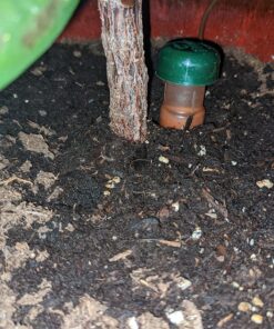 Blumat Classic Plant Watering Stakes | for Everyday Home or Vacation Use | Indoor or Outdoor Water Spikes for Plants | Automatic Drip Irrigation (6 Pack) 6 Pack 54 81rAfEKNjcL