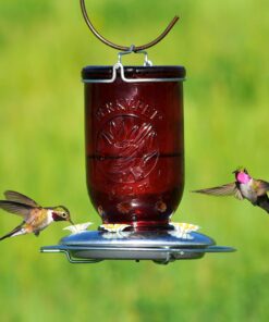 Perky-Pet 786-1SR Mason Jar Vintage Glass Hummingbird Feeder - Outdoor Garden Décor - 32-oz Red Mason Jar 23 81rBc9OXe0L