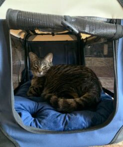 PetLuv-Happy Cat Premium Cat Carrier Soft Sided Foldable Top & Side Loading Pet Crate & Carrier Locking Zippers Shoulder Straps Seat Belt Lock Plush Pillow 24.0"L x 16.0"W x 16.0"H Navy Blue 40 81rEDB1JiDL