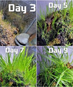 Alternative view of Rayson Empty Spray Bottle Refillable Container, Fine Mist Sprayer Trigger Squirt Bottle for Taming Hair, Hair styling, Watering Plants, Showering Pets (1 Pack, Green)