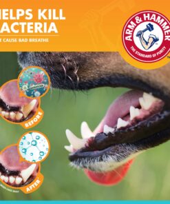 Arm & Hammer for Pets Fresh Breath Kit for Dogs | Contains Toothpaste, Toothbrush & Fingerbrush | Reduces Plaque & Tartar Buildup | Safe for Puppies, 3-Piece Kit, Chicken Flavor Dogs - Chicken Flavor 2.5 Oz (Pack of 1) 23 81rGSzQXyHL