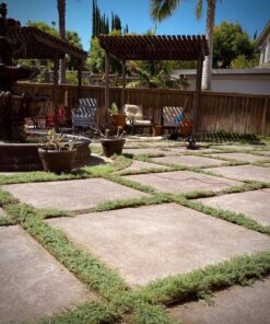 LimbSaver 24001 0 Power Tool Sling, Black 27 81rHTCk5ZVL